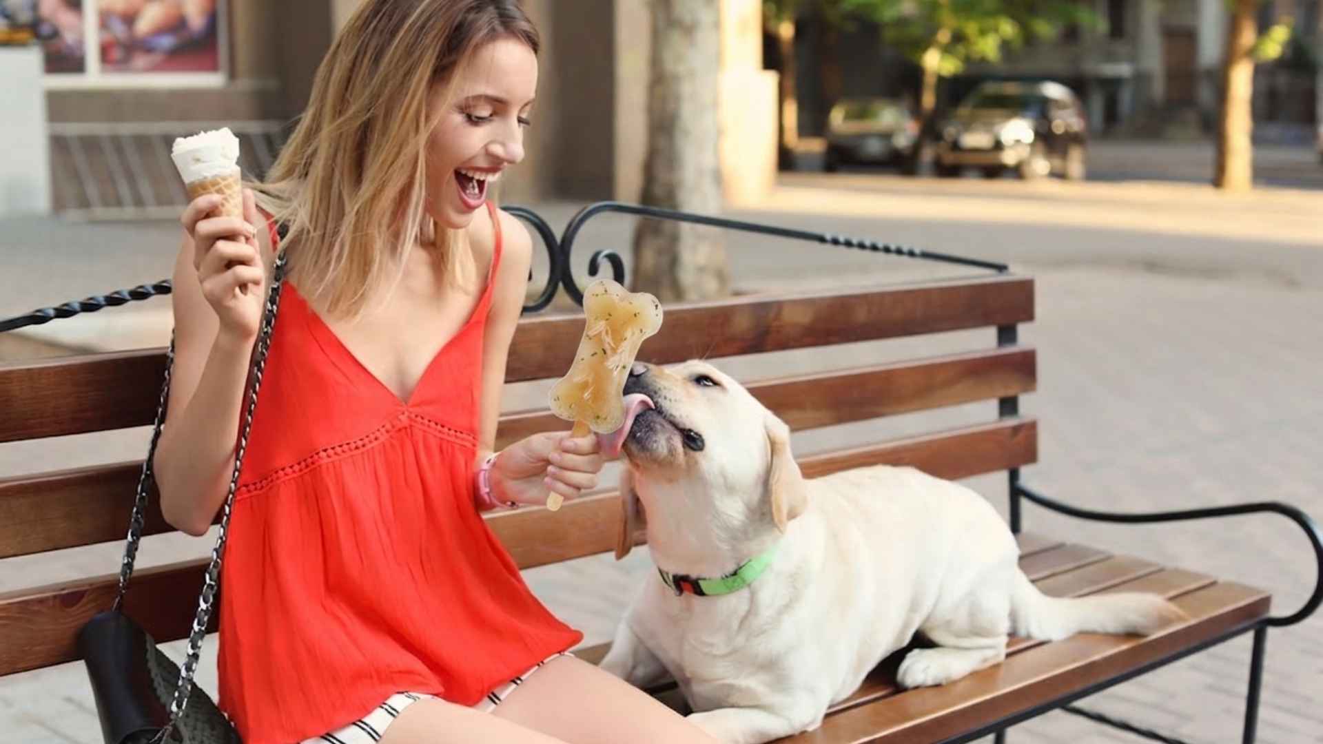 helados caseros para perros recetas
